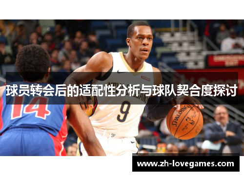球员转会后的适配性分析与球队契合度探讨